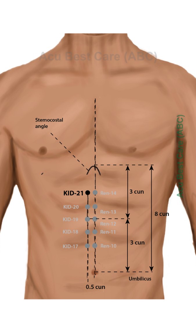 Acubestcare Meridian K-21 or KID-21